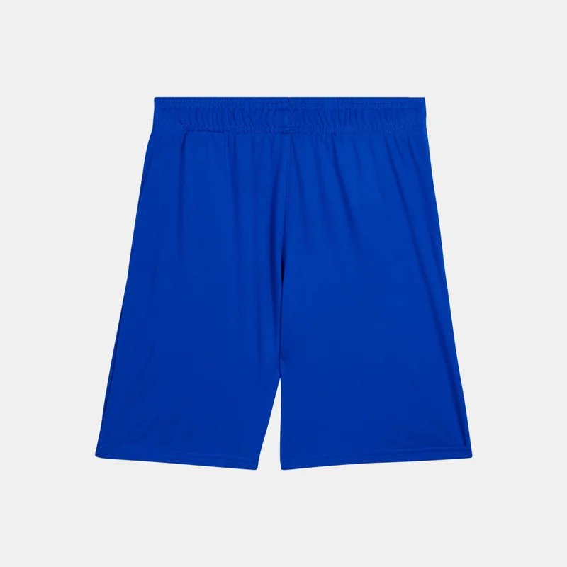 UNDER ARMOUR Kids' UA Prototype 2.0 Logo Shorts